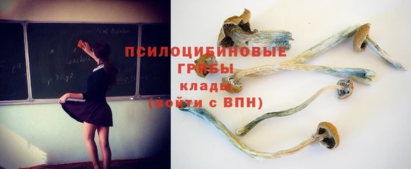 бутират Баксан